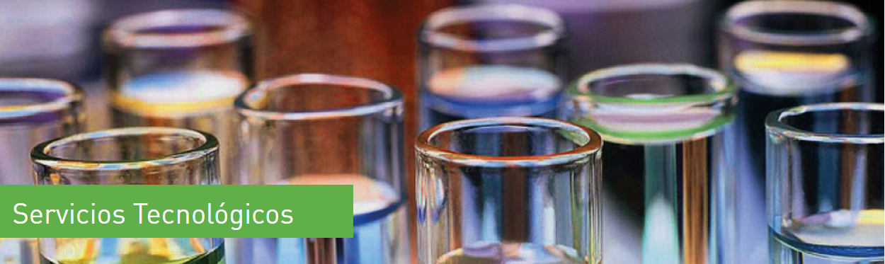Servicios Tecnológicos